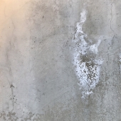 98d,  Carla Caletti - Wall Spirit