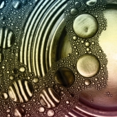 7th Place OA - 21d. Denise McDermott - “Little Worlds”