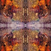 9th Place 46.   Kelley Jakelis - “Butterfly King”