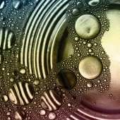 4th Place - 21d.   Denise McDermott - “Little Worlds”