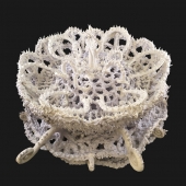 5th Place - 3d-6.   Marina Smelik - “Dangerous Beauty”