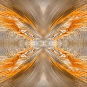 Maureen Ravnik - “Oh Butterfly!” – http://www.maureenravnik.crevado.com/