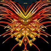 Dick and Rosanne - “Dragon” – http://www.dickandrosanne.com/