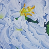 Jaman (1) Img #1 Billowing White