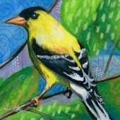 Alderfer (1) Img #4  Sunshine