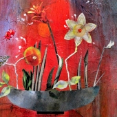 Duncan (2) Img #2  Bowl of Happiness