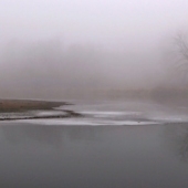 Funke (1) Img #2  Forest Shroud