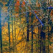 Kay (1) Img #3  Misty Tangle