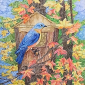 Lazo-Flores (1) Img #1  Colors of Fall