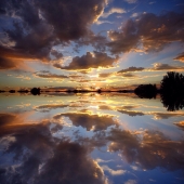 Lilley (2) Img #1  Reflections 1