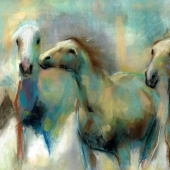 Marino (3) Img #2  Running With The Palominos