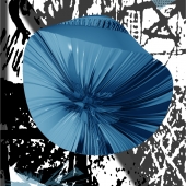 ŠEHIĆ (2) Img #2  Sculptural Form Returns Home