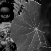 Miles (1) Img #5  Doll 5