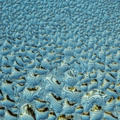 Montgomery-R (2) Img #1 Winter Sun