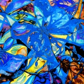 Perera (1) Img #2  Cornucopia