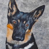 Richter (1) Img #1  Butch