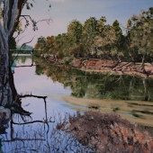 Scheffler (1) Img #1 Reflections on the Murrumbidgee River