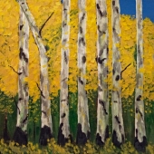Shelle (1) Img #5  Santa Fe Aspens