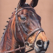 Watkins (1) Img #3  Cowboy