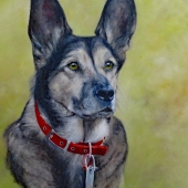 Wiegmink (1) Img #1  Dog Dog