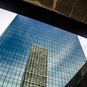 Zenhari (1) Img #2  Reflection