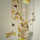 Gohl (1) Img #5  Untitled 3