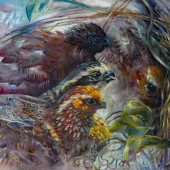 Hines (2) Img #3  Serious Dust Bath