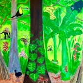 Houton (1) Img #1  Costa Rican Rainforest