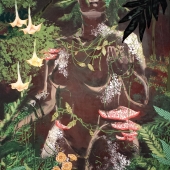 Knoop (2) Img #2  Mother Nature