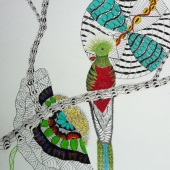 Stares (1) Img #2  Resplendent Quetzal