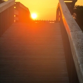 Callaghan (1) Img #1  Heaven on Earth