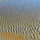 Callaghan (1) Img #3  Beach Art