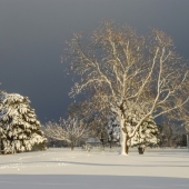 McNally (1) Img #1  Quiet After the Storm