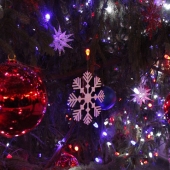 Shortt (1) Img #2  Christmas Tree Decorations