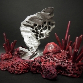 5th Place - 3D - Soto (1) Img #1  Alizarin Coral