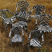 HM - 3D - Delaney (1) Img #2  Rescued from Landfill