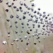 Processed with Snapseed.