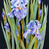 HM - Painting - Clark-J (1) Img #2  Blues in the Night