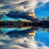 HM - Photo - Lilley (2) Img #3  Reflections 3