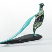 Ani Mollereau – “Pheasant” - animollereau@gmail.comt