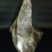 5th Place - 3D - Sirko (1) Img #4  Serpent