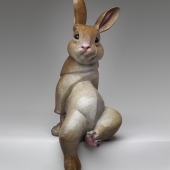 HM - 3D - Park (1) Img #4  Cottontail Rabbit