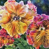 2nd Place - OA - Suprun (1) Img #1  Pansies