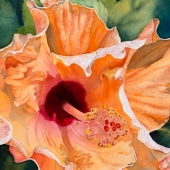 5th Place - OA - Jary (1) Img #4  Hibiscus II