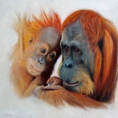 J - 10th Place - OA  - Wiegmink (1) Img #3  Precious  Moments