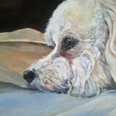 Antonello  (1) Img #2  Caper 2