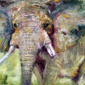 Baldwin (1) Img #1 I See You