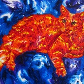 Barugahare (1) Img #2  Cosmo Space Kitty