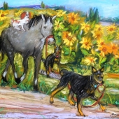 Bazinet (1) Img #1 Sunflower Fields In Le Camargue