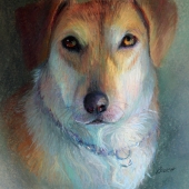 Bezich (1) Img #1 Oh Connor!